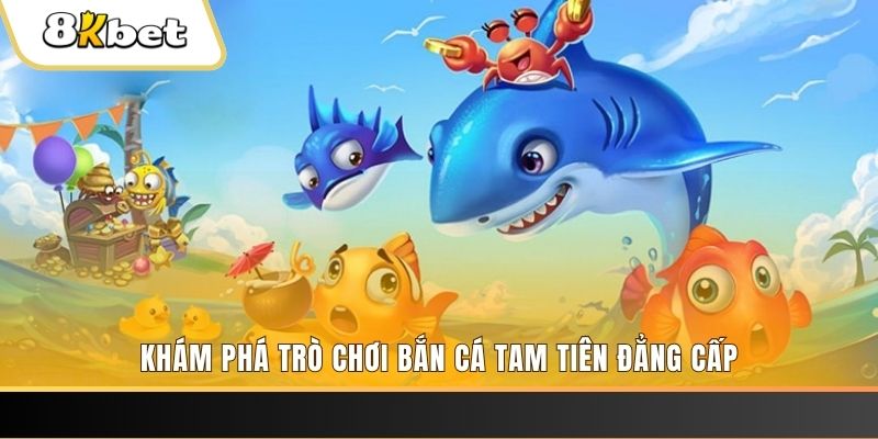 vnd555 slot tiếng anh la gì
