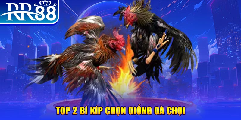 vnd555 bắn cá h5