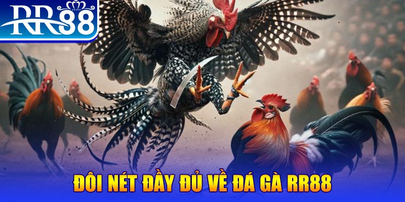 vnd555 gà chọi hoà phong