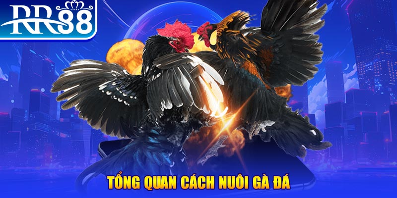 vnd555 xổ số thứ ba