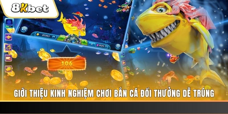 vnd555 xổ số miền bắc hôm