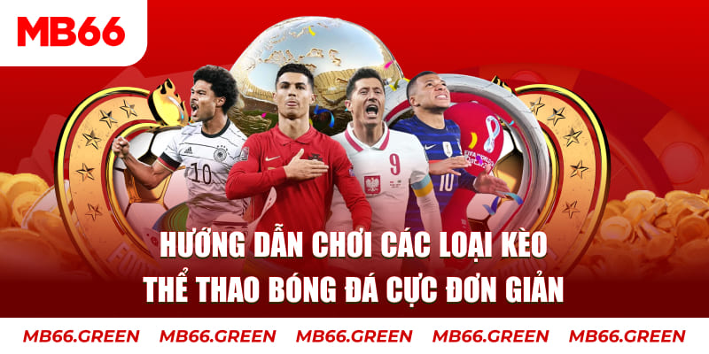 vnd555 nỗ hủ là gì