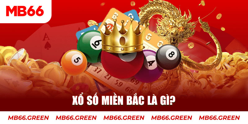 vnd555 đá gà 88