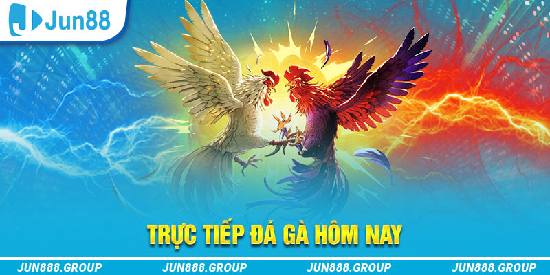 vnd555 trực tiếp đá gà thomo