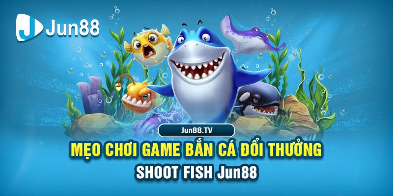 vnd555 tải game đánh bài online về máy tính