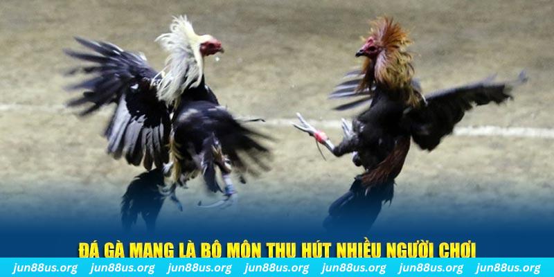 vnd555 xổ số long an