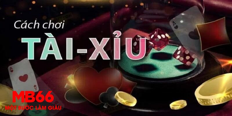 vnd555 1 slot là gì