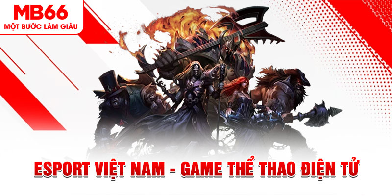 vnd555 PT Điện Tử