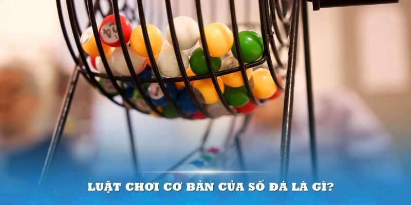 vnd555 Đĩa màu ace