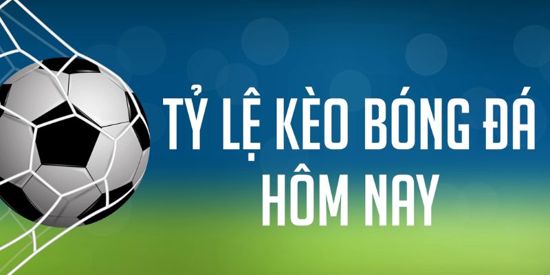 vnd555 ÁT CHỦ MÁY HOA QUẢ THẦN TÀI