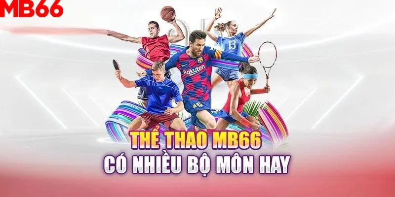 vnd555 slot là gì nghĩa