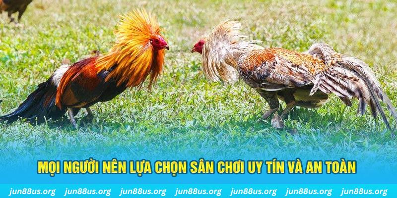 vnd555 Tài Xỉu