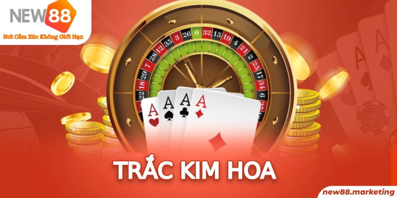 vnd555 game bai beme tren may tinh
