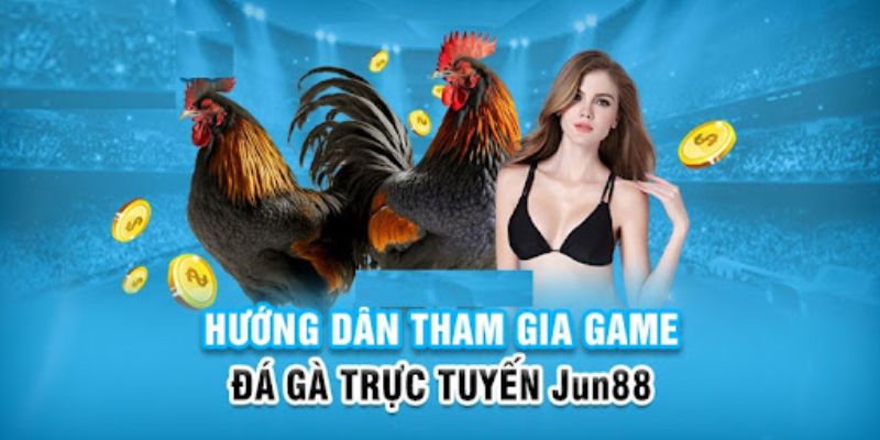 vnd555 slot có nghĩa là gì