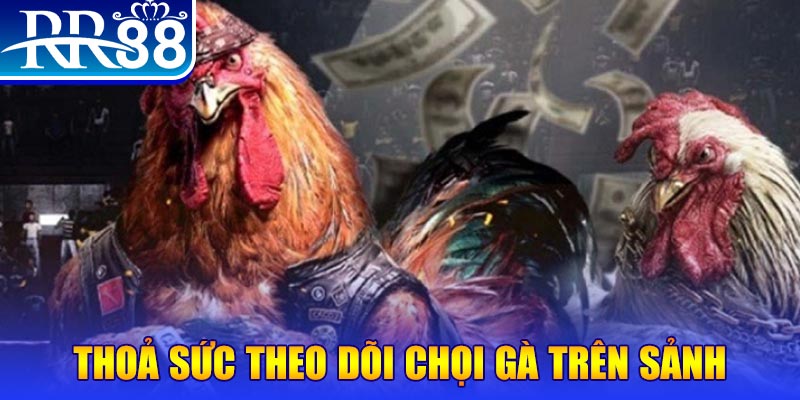 vnd555 casino online là gì