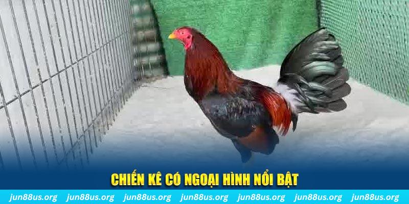 vnd555 nhạc slot là gì